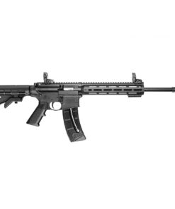 Smith Wesson MP15-22